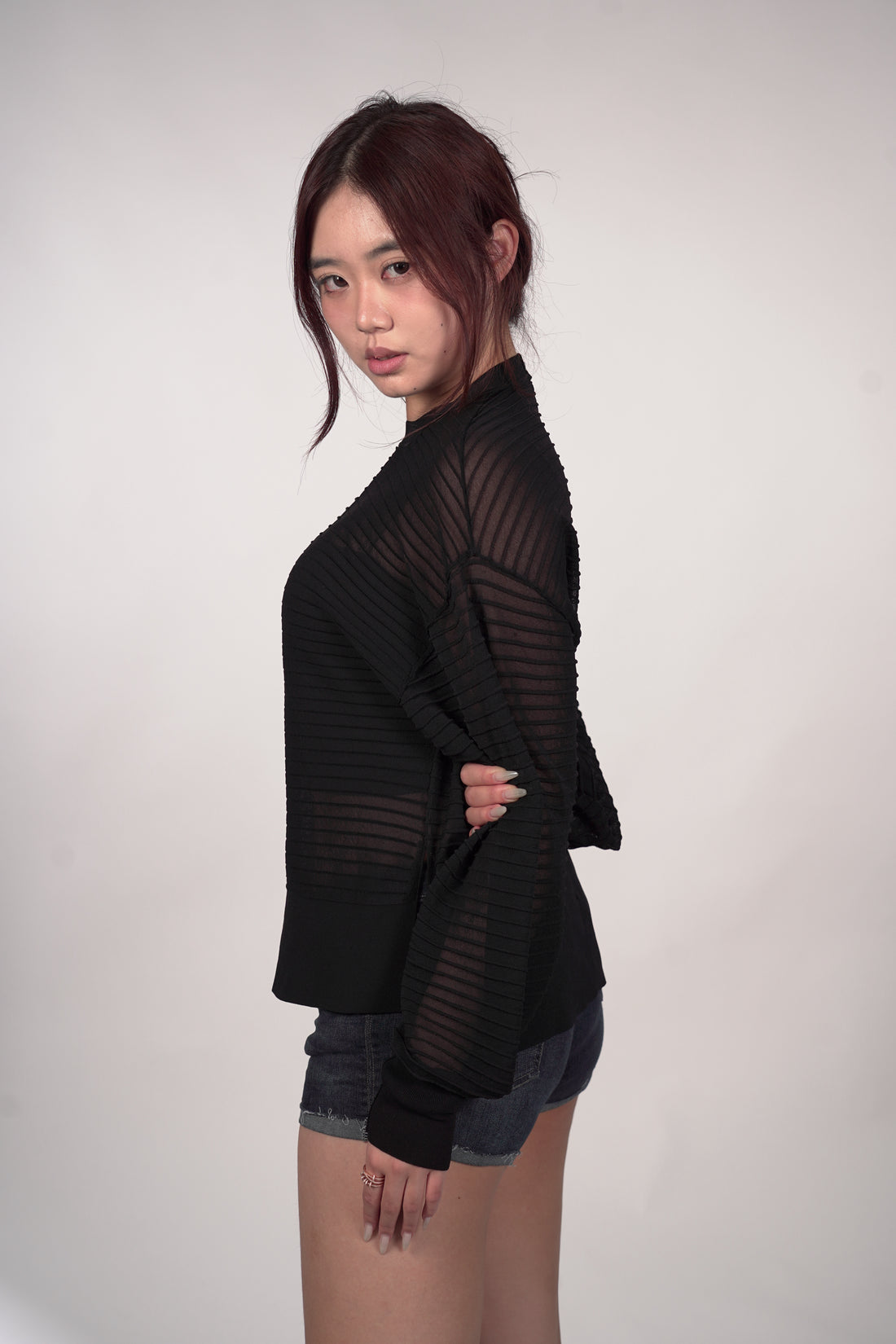 Sheer Ribbed Pullover Sweater（pre-sale）